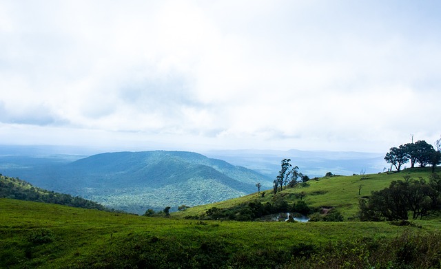 这一决定无 这一决定无