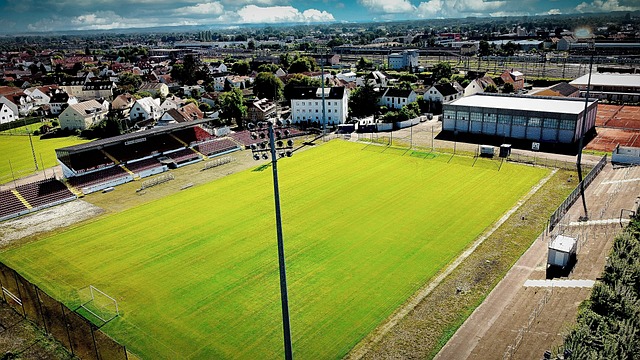 业的高峰 业的高峰