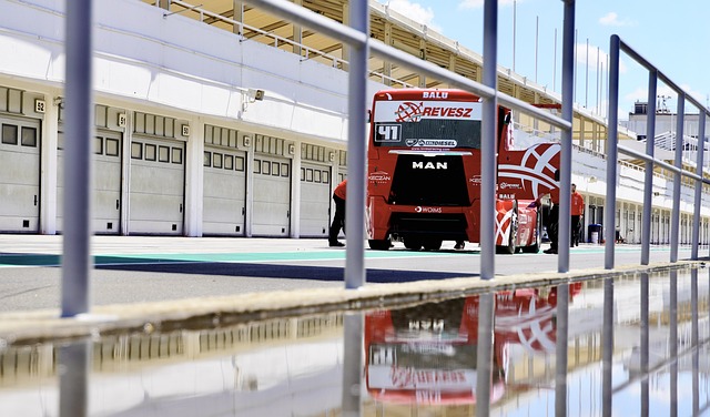 魔术队的挑 魔术队的挑