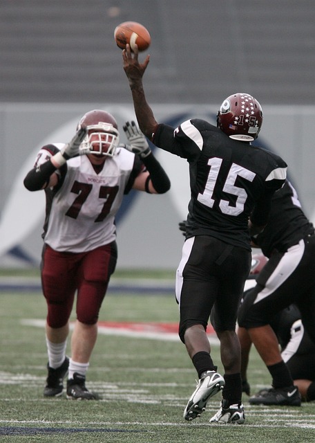 在这位巴哈 在这位巴哈