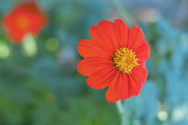 部的战术调 部的战术调